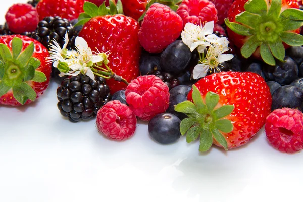 Berries on white Background — Stock Photo, Image