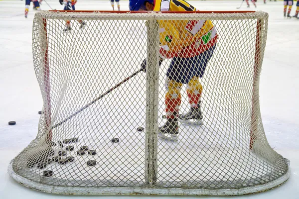 Red de hockey sobre hielo — Foto de Stock