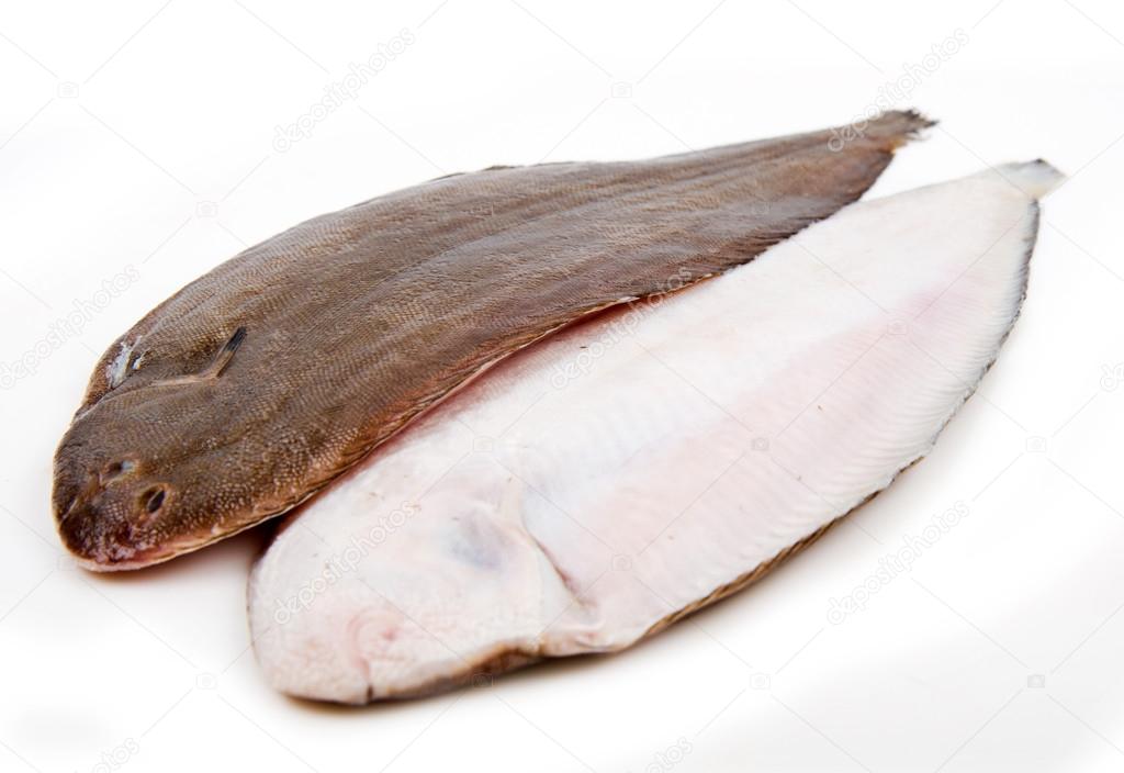 Whole couple fresh sole fish on white background