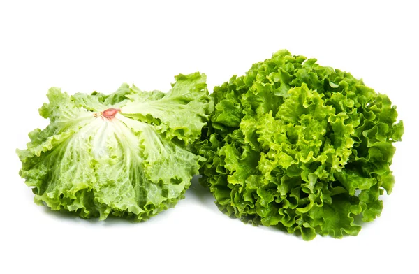Bando de salada verde fresca isolada sobre branco — Fotografia de Stock