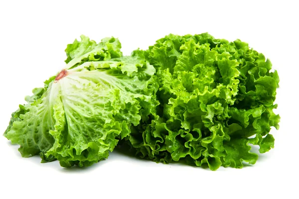 Bund frischer grüner Salat isoliert über weißem — Stockfoto