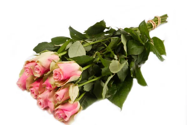 ดอกกุหลาบสีชมพูแยกกันบนพื้นหลังสีขาว — ภาพถ่ายสต็อก