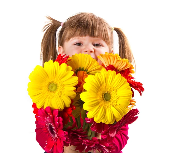 Cute little girl with gerbera flowers bouquet — Stock Photo, Image