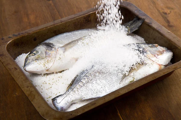 Gilt head sea bream baked in sea salt — Stock Photo, Image