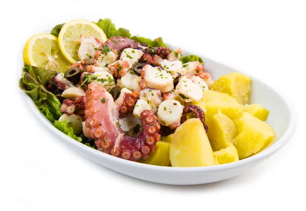 Octopus salade met aardappelen — Stockfoto