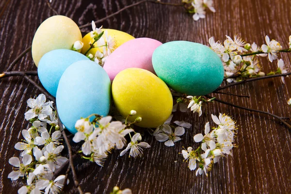 Húsvéti tojás, tavaszi virág, fa háttér — Stock Fotó
