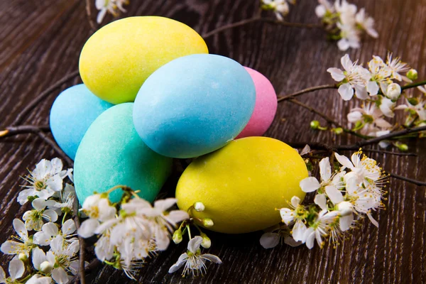 Ostereier mit Frühlingsblume auf Holzgrund — Stockfoto