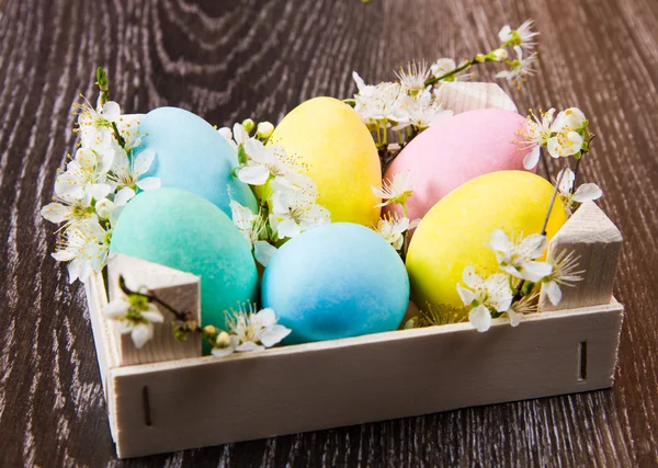 Húsvéti tojás, tavaszi virág, fa háttér — Stock Fotó