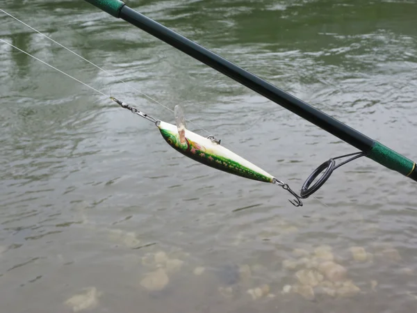 Trout on the river — Stock Photo, Image