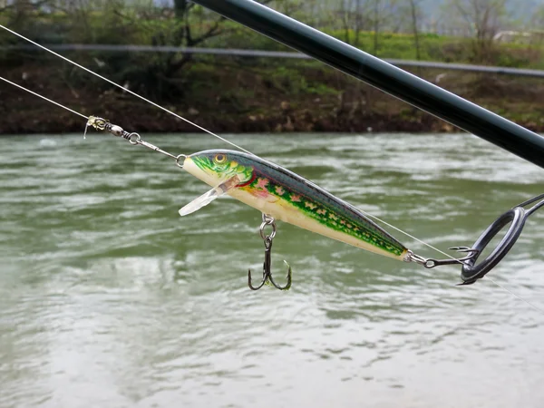 Forel op de rivier — Stockfoto