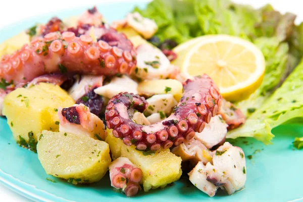 Salada de polvo com batatas — Fotografia de Stock