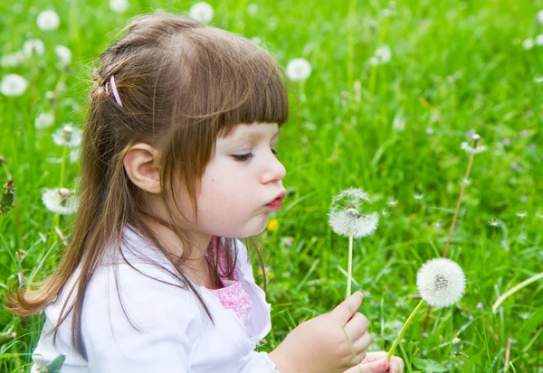 Mooie kleine blond meisje waait een paardebloem — Stockfoto