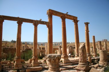 Antik jerash. gera Greko-Romen şehir Ürdün, kalıntıları 