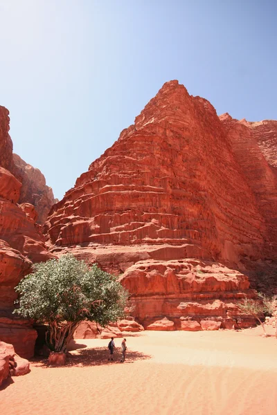 Petra Jordania — Zdjęcie stockowe