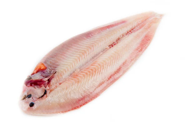Sogliola di pesce pronta da cuocere — Foto Stock
