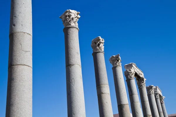 The ruins of Ephesus — Stock Photo, Image