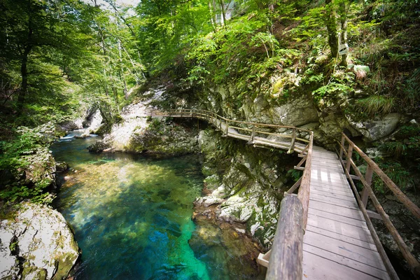 Vintgar canyon — Stock Photo, Image