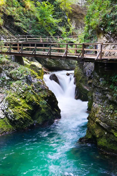 Vintgar canyon — Stock Photo, Image