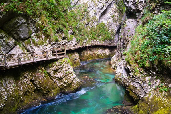 Vintgar canyon — Stock Photo, Image