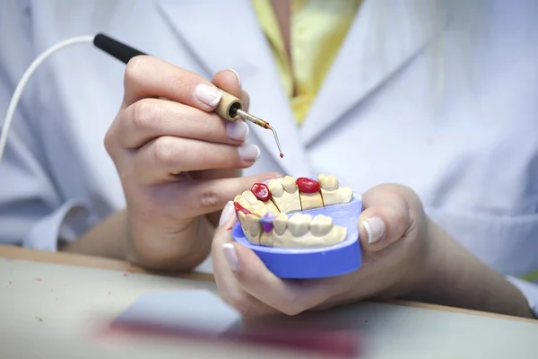 Laboratorio Dental Imágenes de stock libres de derechos