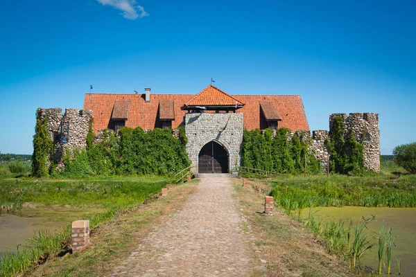 Old castle in Kiermusy — Stock Photo, Image