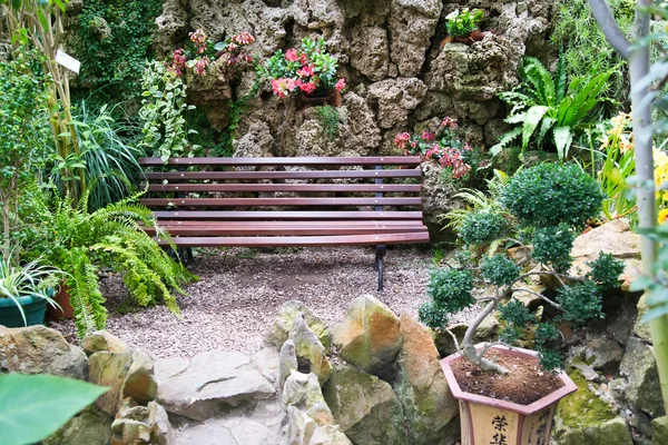 Bench in tropical park — Stock Photo, Image