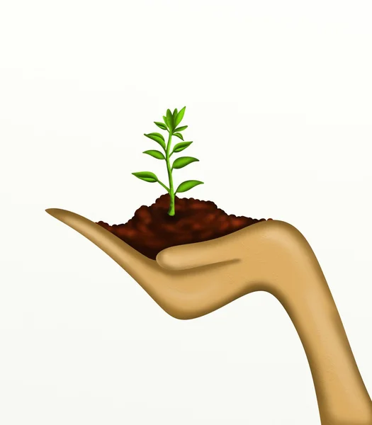 Plant in de hand — Stockfoto