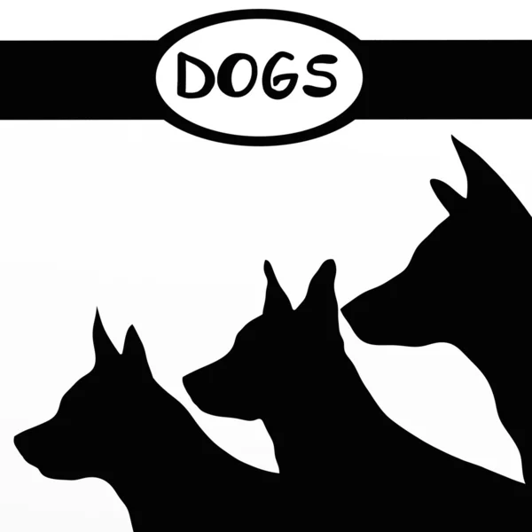 Τρία σκυλιά — Φωτογραφία Αρχείου