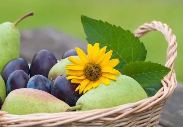 Wicker basket with plums and pears Wicker basket with plums and pears — Stock Photo, Image