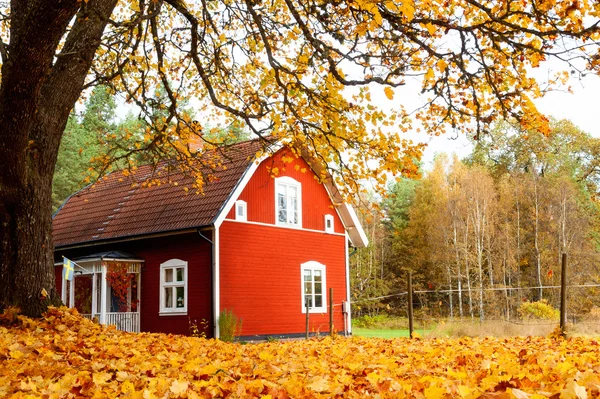 Осень в Швеции — стоковое фото