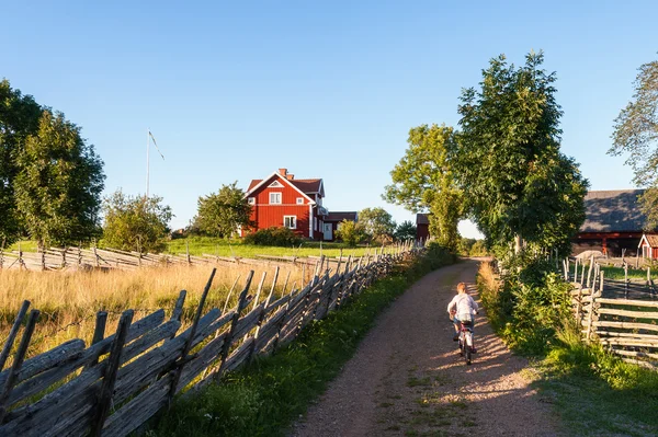 Criança andando de bicicleta na zona rural da Suécia Fotografias De Stock Royalty-Free