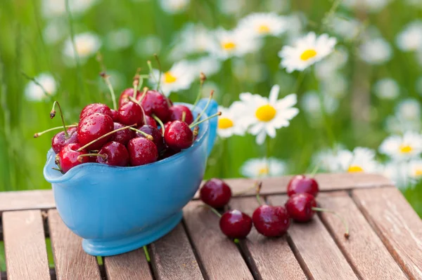 Cerises fraîches — Photo