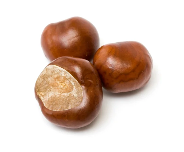 Three chestnuts — Stock Photo, Image