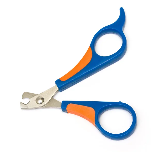 Scissors for claws — Stock Photo, Image