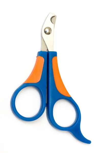 Nůžky pro drápy — Stock fotografie