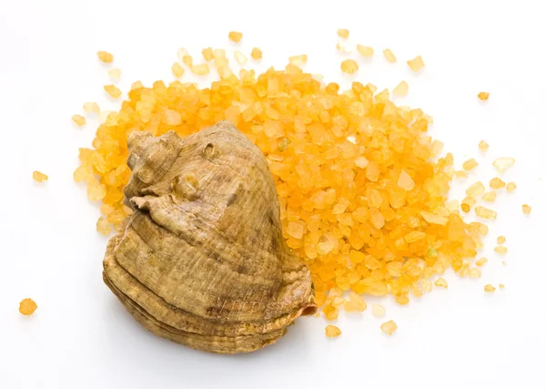 Seashell and sea salt Stock Photo