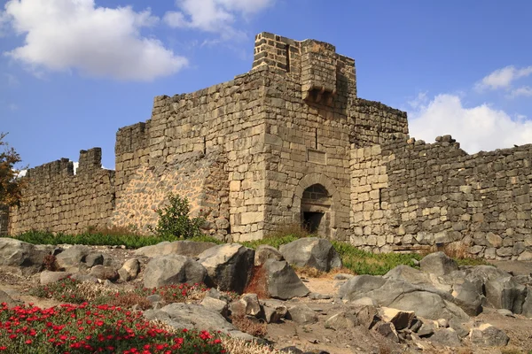 Qasr al-Azraq — стокове фото