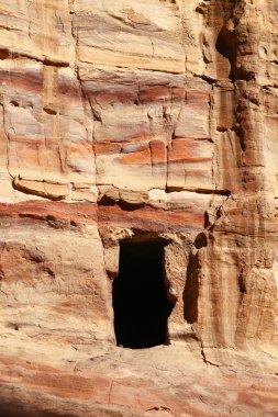 Petra与卡通鱼在蓝色背景上的无缝模式