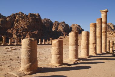 Petra与卡通鱼在蓝色背景上的无缝模式