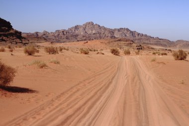 wadi rum