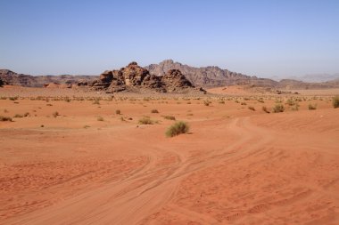 wadi rum