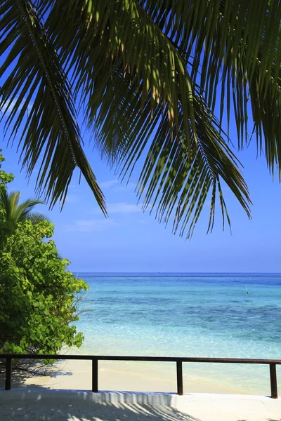 Tropikalna plaża — Zdjęcie stockowe