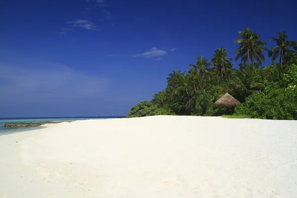 Tropischer Strand — Stockfoto