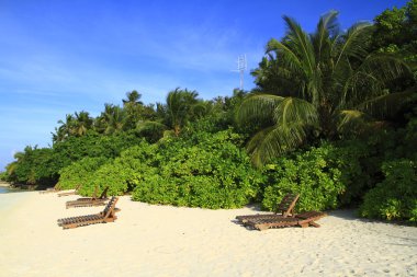 Tropik plaj