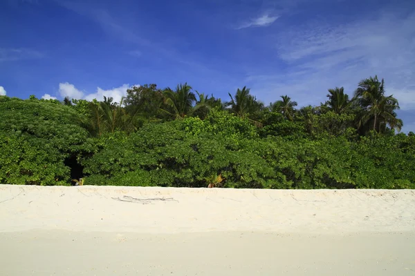 Praia tropical — Fotografia de Stock