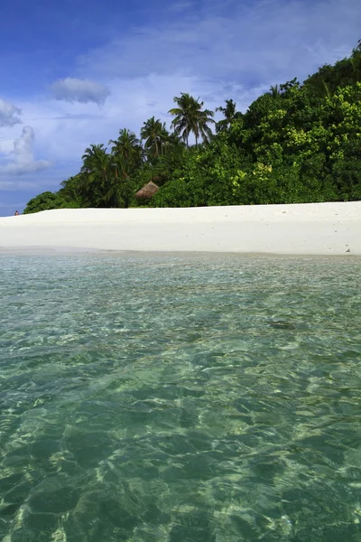 Tropischer Strand — Stockfoto