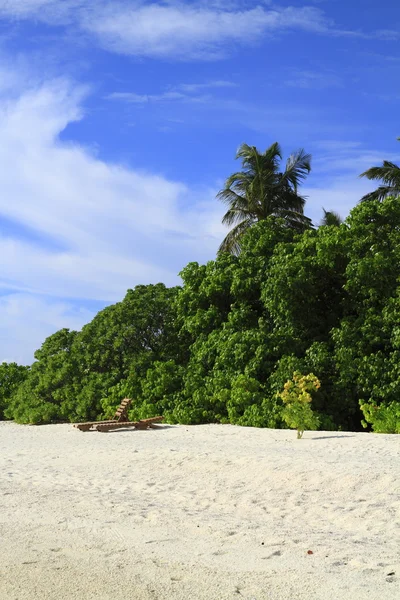 Playa tropical — Foto de Stock