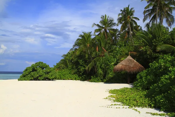 Tropikalna plaża — Zdjęcie stockowe