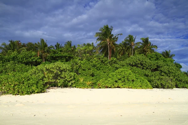 Tropischer Strand — Stockfoto