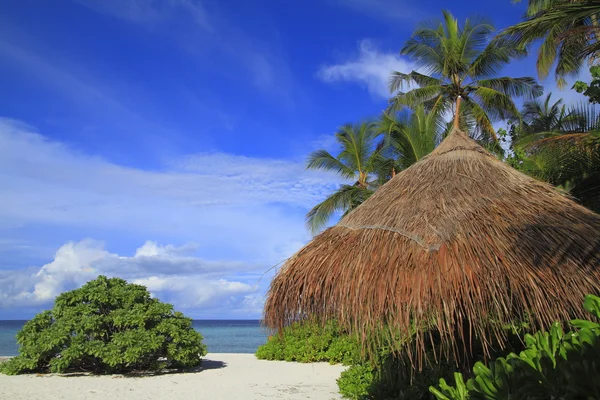 Tropischer Strand — Stockfoto